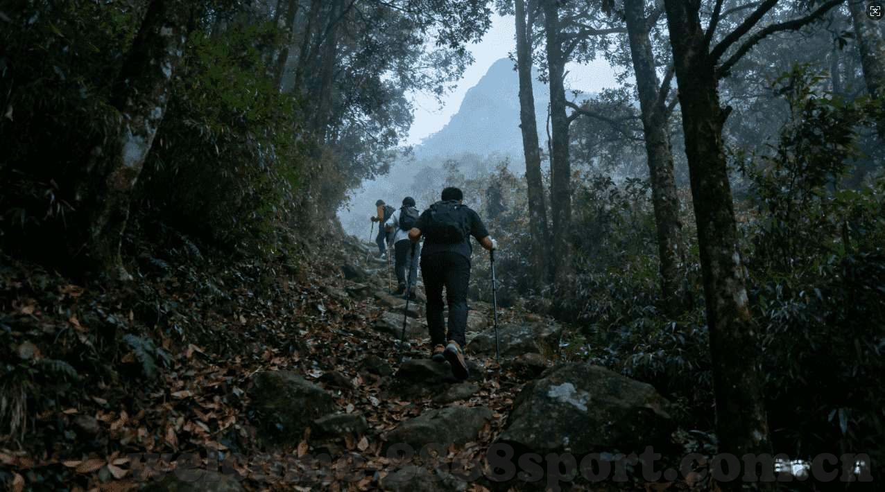 世界杯竞猜四强-世界杯竞猜四强，激情与智慧的碰撞